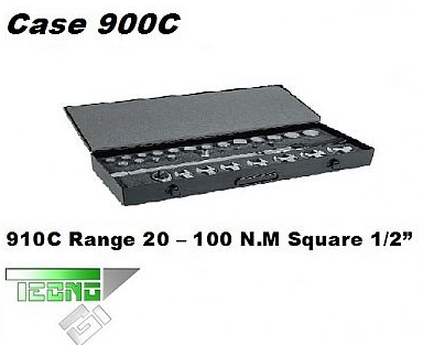 Case 910C